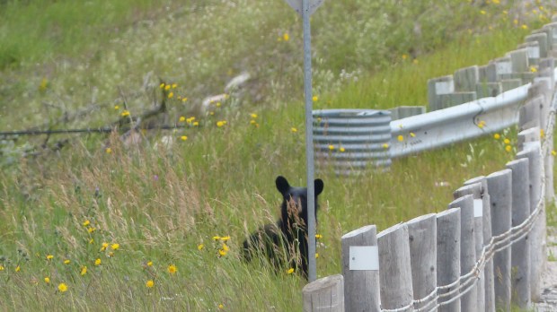 Er oder Sie? Wer weiß das schon...