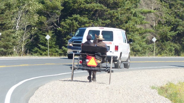 Die Aimish! Leben im 19.Jahrhundert und lehnen jede modernere Technik ab. Dafür bekommen sie eine breite geschotterte 