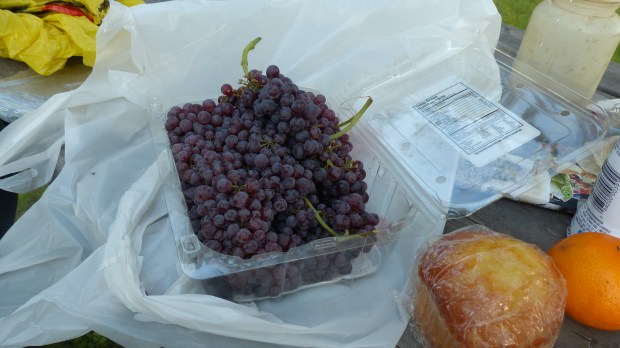 Lebende Korinthen, etwas säuerlich.