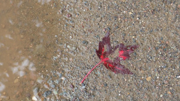 Wird Zeit, nach Hause zu kommen.