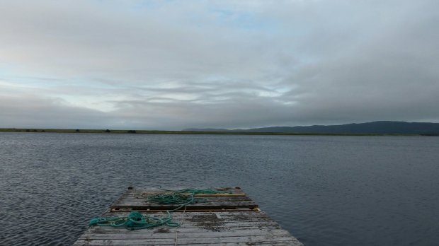 wp-image--1040036398