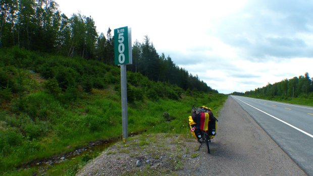 wp-image--2067131940