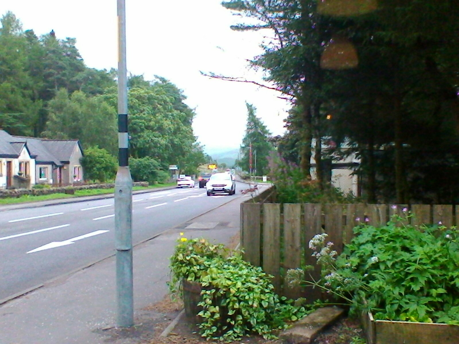 Den Verkehr sieht man leider auf dem Bild nicht richtig (Schappschuss aus dem Gaststättenfenstert), aber man seht, wie sich die Tanne hinten in Wind biegt ...
